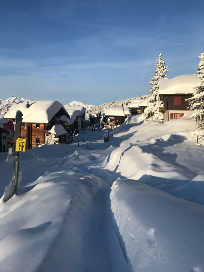 Hotel Alpfrieden Bettmeralp Exterior foto
